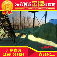 南美洲有种鸟头顶长着“天线”：断了还能再生！